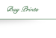 buy my prints