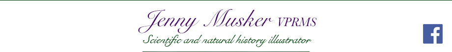 title banner