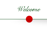 go to home page