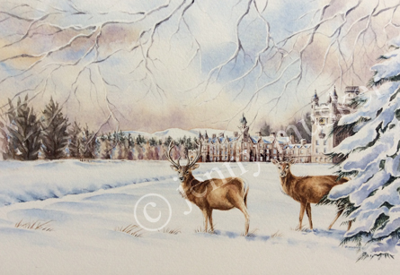 balmoral