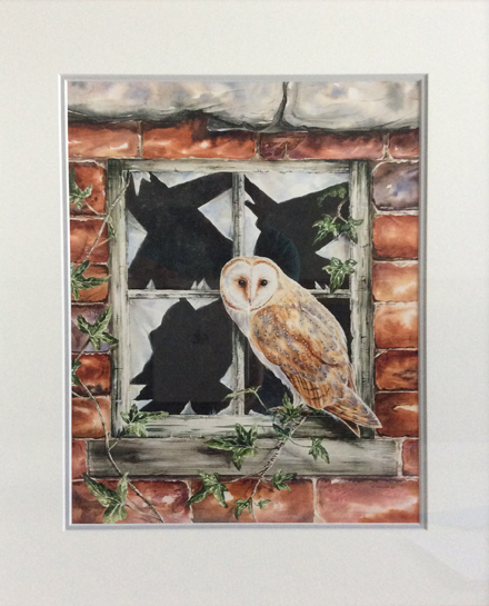 barnowl