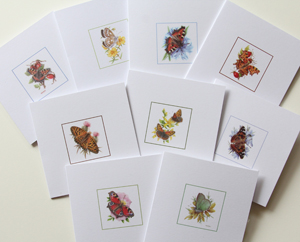 Card set 1