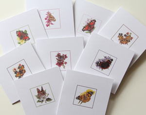 Card set 1