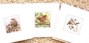 Card set 1