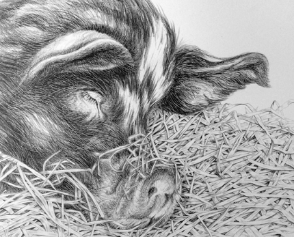 hog heaven