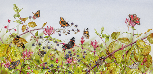 hedgerow