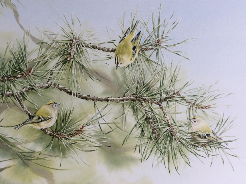 Poised in the pines