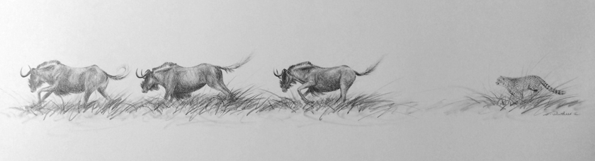 the chase