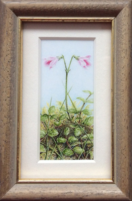 twinflower