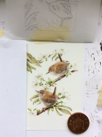 wren 2